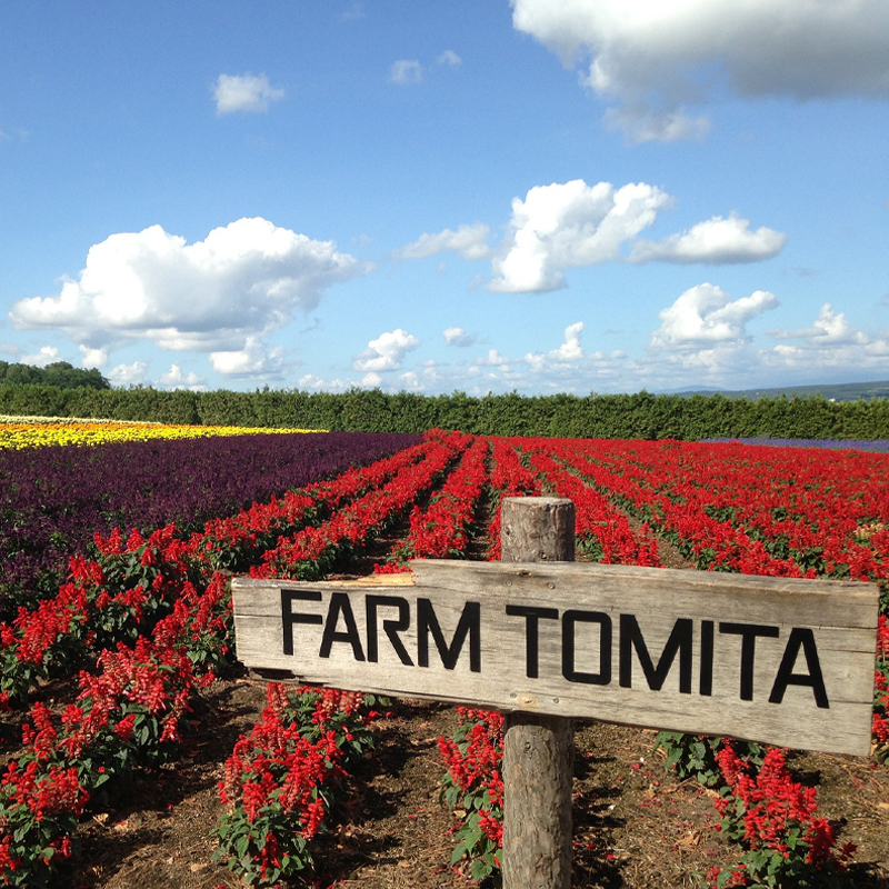 ฟาร์มโทมิตะ - Farm Tomita